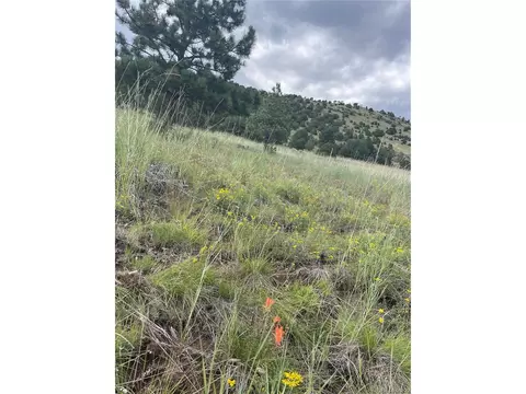 768 Keepsake Loop, Westcliffe, CO 81252 photo 9