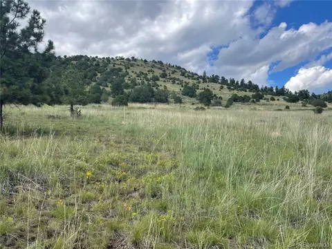 768 Keepsake Loop, Westcliffe, CO 81252 photo 12