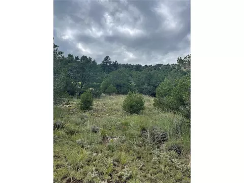 768 Keepsake Loop, Westcliffe, CO 81252 photo 6