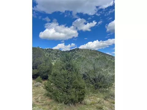 768 Keepsake Loop, Westcliffe, CO 81252 photo 2