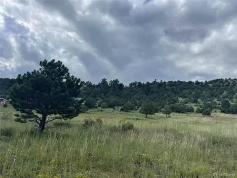 768 Keepsake Loop, Westcliffe, CO 81252 photo 14