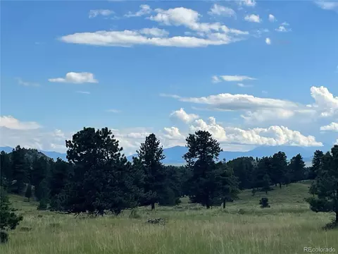 768 Keepsake Loop, Westcliffe, CO 81252 photo 5