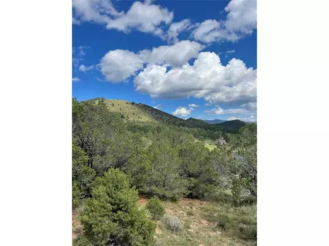 768 Keepsake Loop, Westcliffe, CO 81252 photo 18