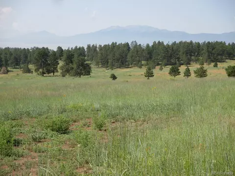 768 Keepsake Loop, Westcliffe, CO 81252 photo 19