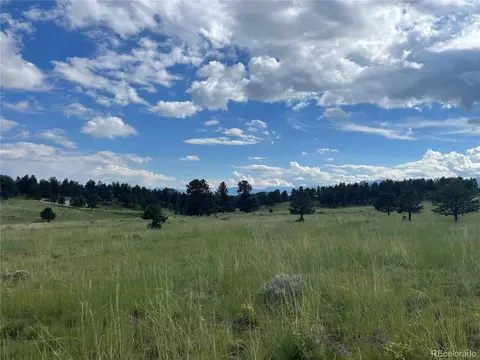 768 Keepsake Loop, Westcliffe, CO 81252 photo 3