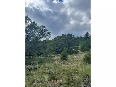 768 Keepsake Loop, Westcliffe, CO 81252 photo 16