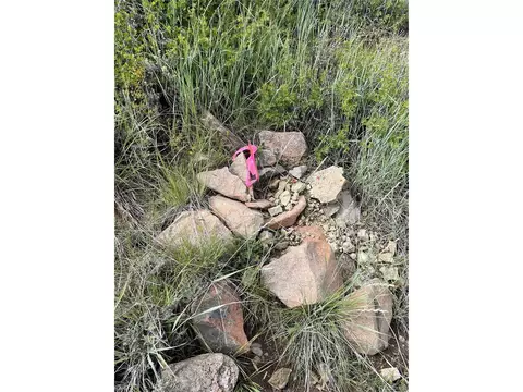 768 Keepsake Loop, Westcliffe, CO 81252 photo 17