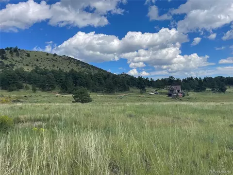 768 Keepsake Loop, Westcliffe, CO 81252 photo 1