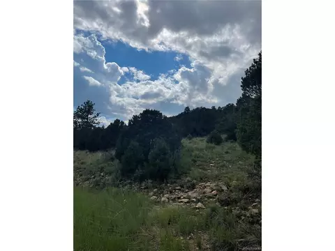768 Keepsake Loop, Westcliffe, CO 81252 photo 4