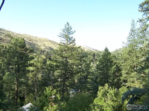 77 Alpine Gulch Rd, Boulder, CO 80302 photo 3