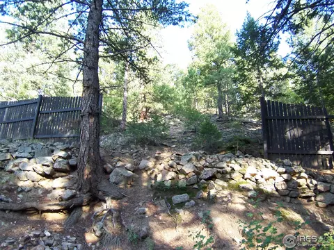 77 Alpine Gulch Rd, Boulder, CO 80302 photo 18