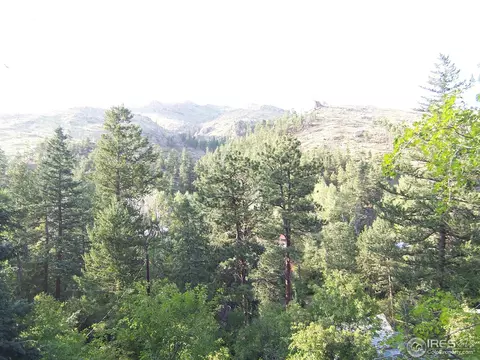 77 Alpine Gulch Rd, Boulder, CO 80302 photo 16