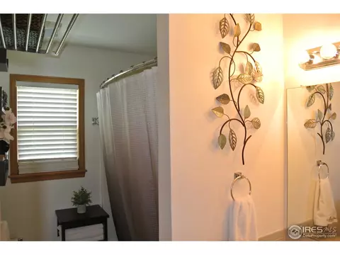 304 E Michigan Ave, Berthoud, CO 80513 photo 13
