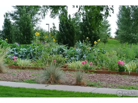 304 E Michigan Ave, Berthoud, CO 80513 photo 24