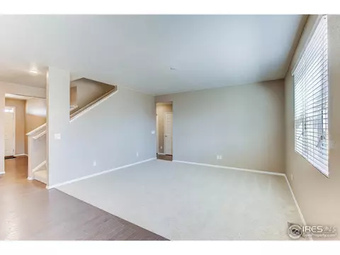 919 Charlton Dr, Windsor, CO 80550 photo 4