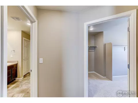 919 Charlton Dr, Windsor, CO 80550 photo 17