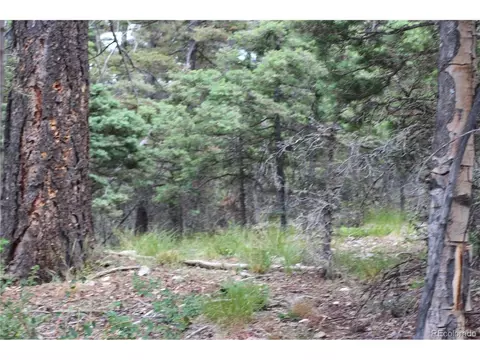 6077 Vreeland Rd, San Luis, CO 81152