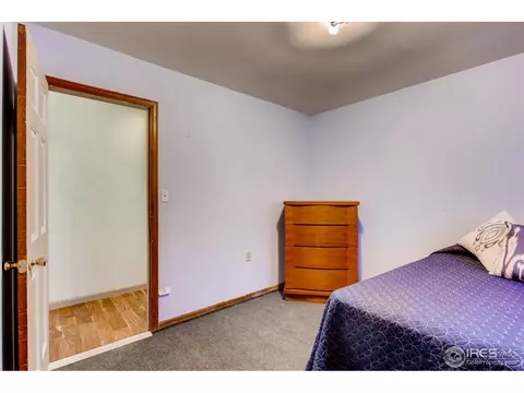 212 10th St, Windsor, CO 80550 photo 19
