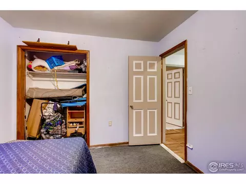 212 10th St, Windsor, CO 80550 photo 20