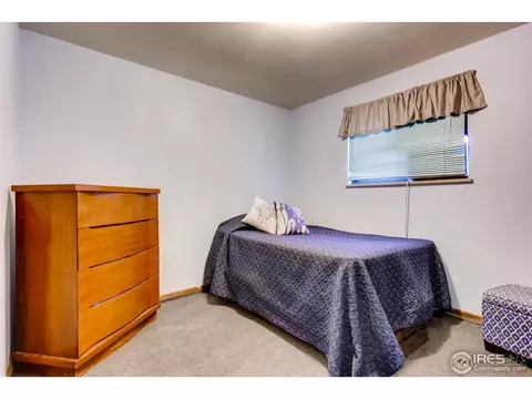 212 10th St, Windsor, CO 80550 photo 18