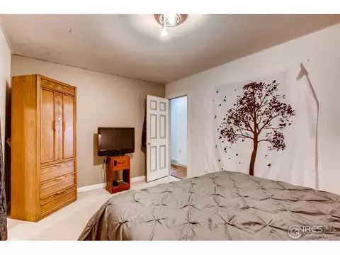 212 10th St, Windsor, CO 80550 photo 14