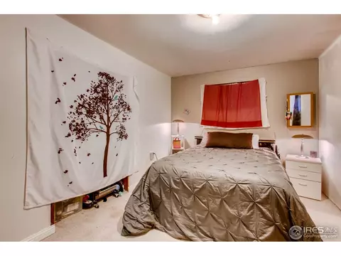 212 10th St, Windsor, CO 80550 photo 13