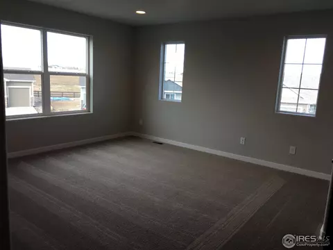 927 Barn Yard Dr, Windsor, CO 80550 photo 3