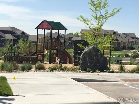 927 Barn Yard Dr, Windsor, CO 80550 photo 8
