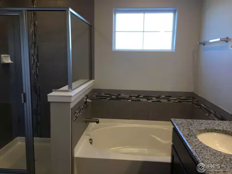 927 Barn Yard Dr, Windsor, CO 80550 photo 6