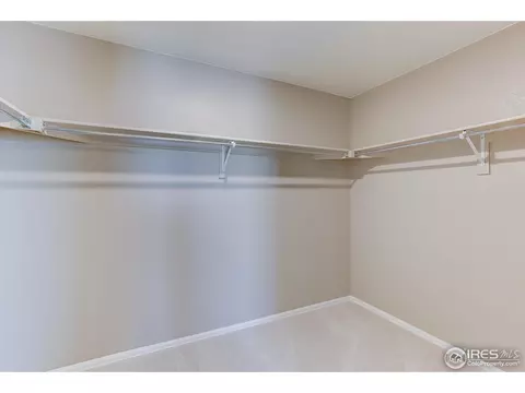 504 Buckrake St, Severance, CO 80550 photo 22