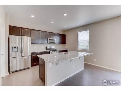 504 Buckrake St, Severance, CO 80550 photo 12