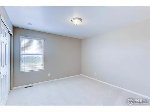 504 Buckrake St, Severance, CO 80550 photo 29