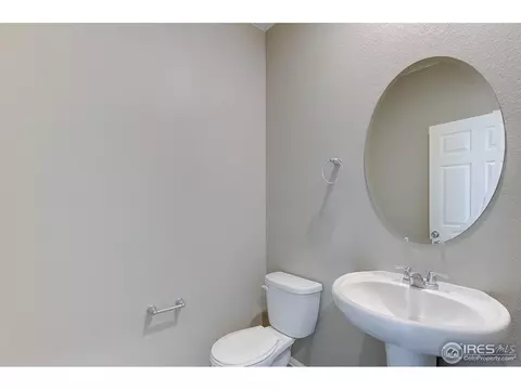 504 Buckrake St, Severance, CO 80550 photo 17