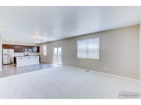 504 Buckrake St, Severance, CO 80550 photo 7