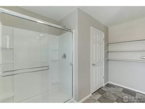 504 Buckrake St, Severance, CO 80550 photo 21
