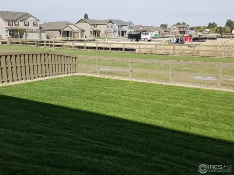 504 Buckrake St, Severance, CO 80550 photo 31