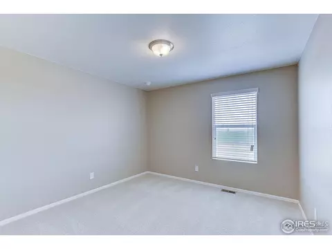 504 Buckrake St, Severance, CO 80550 photo 27