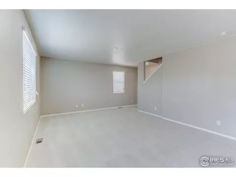 504 Buckrake St, Severance, CO 80550 photo 5