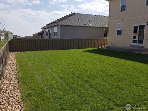 504 Buckrake St, Severance, CO 80550 photo 32