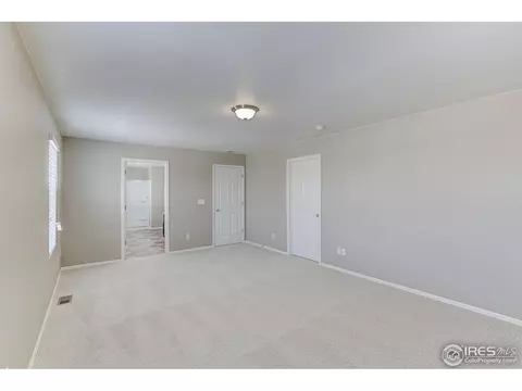 504 Buckrake St, Severance, CO 80550 photo 23