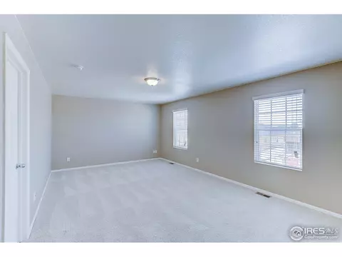 504 Buckrake St, Severance, CO 80550 photo 20