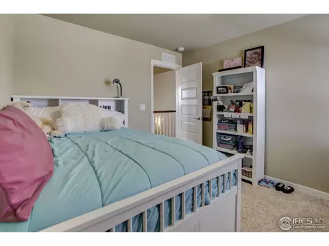 5469 Sequoia Pl, Frederick, CO 80504 photo 32