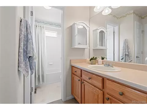 8537 Coors Loop, Arvada, CO 80005 photo 23