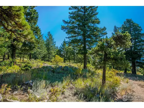 5424 Sugarloaf Rd, Boulder, CO 80302 photo 7