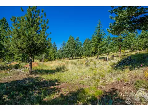 5424 Sugarloaf Rd, Boulder, CO 80302 photo 11