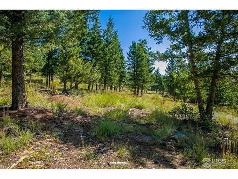 5424 Sugarloaf Rd, Boulder, CO 80302 photo 12
