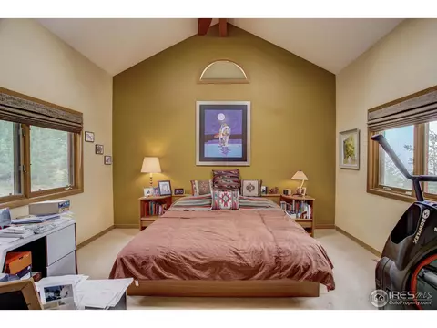 95 Deer Trail Cir, Boulder, CO 80302 photo 20