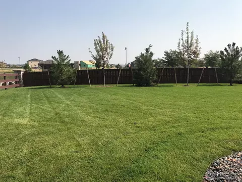 5642 Connor St, Timnath, CO 80547 photo 28