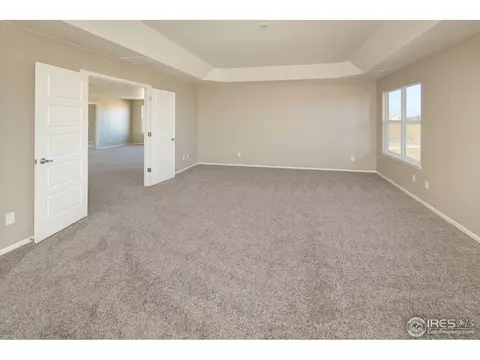5642 Connor St, Timnath, CO 80547 photo 16