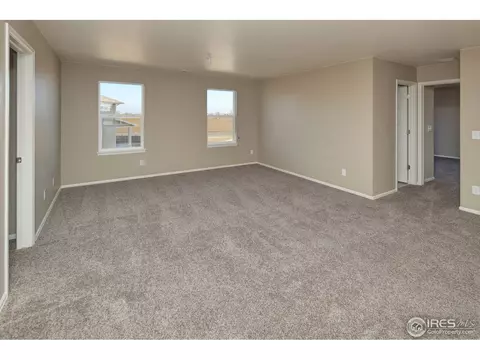 5642 Connor St, Timnath, CO 80547 photo 23